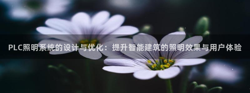 PLC照明系统的设计与优化:提升智能建筑
