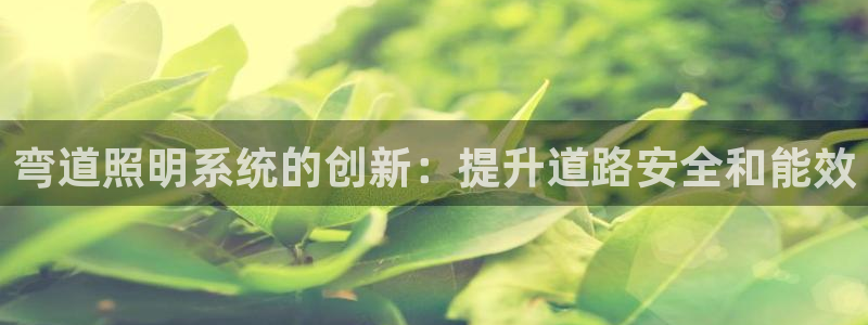 弯道照明系统的创新:提升道路安全和能效