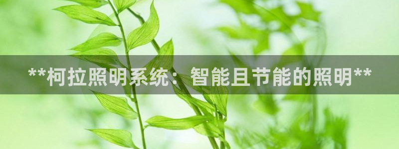 **柯拉照明系统:智能且节能的照明**