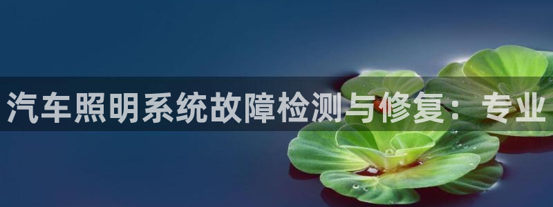 汽车照明系统故障检测与修复:专业