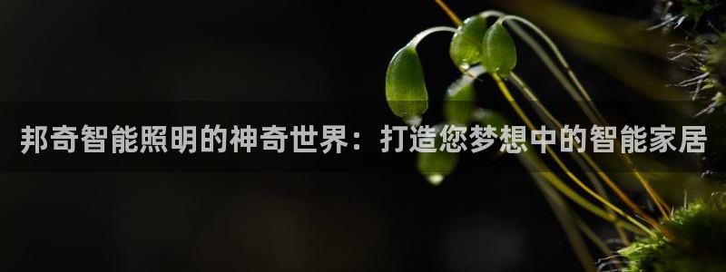 邦奇智能照明的神奇世界:打造您梦想中的智