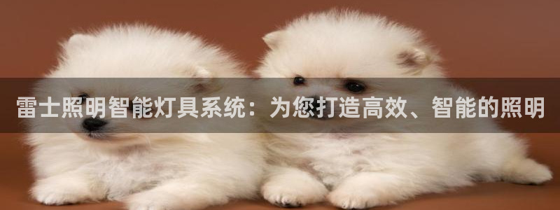 雷士照明智能灯具系统:为您打造高效、智能